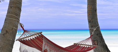 Why is Nutrition so Important for Mental Health?