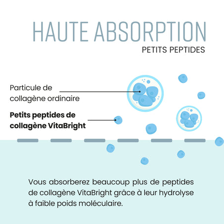 Collagène en Poudre
