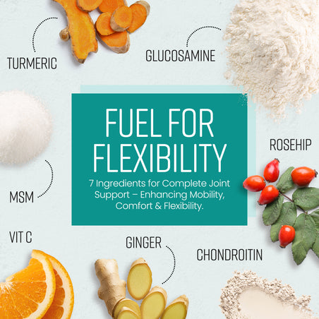 Glucosamine Chondroïtine et MSM